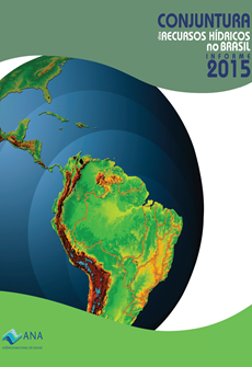 Conjuntura 2015