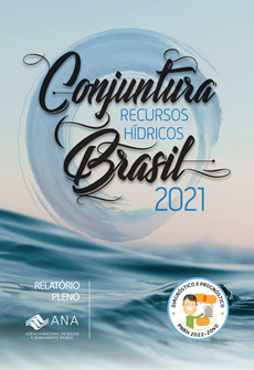 Conjuntura 2021